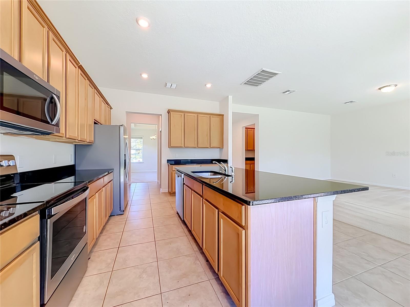 10079 AUSTRINA OAK LOOP, Winter Garden, FL 34787