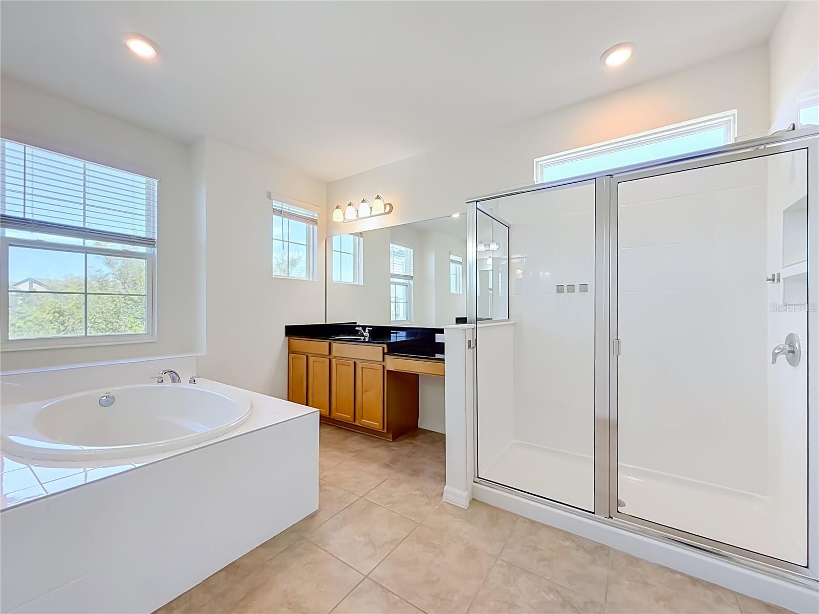 10079 AUSTRINA OAK LOOP, Winter Garden, FL 34787