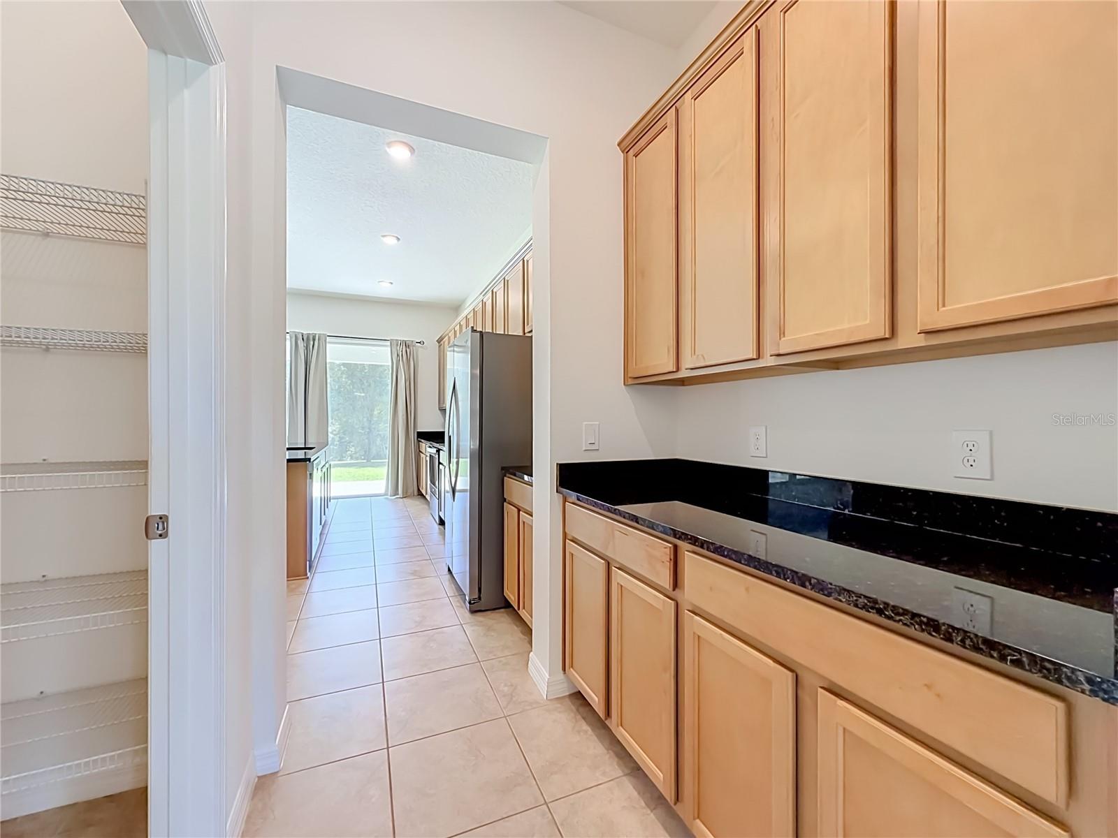 10079 AUSTRINA OAK LOOP, Winter Garden, FL 34787