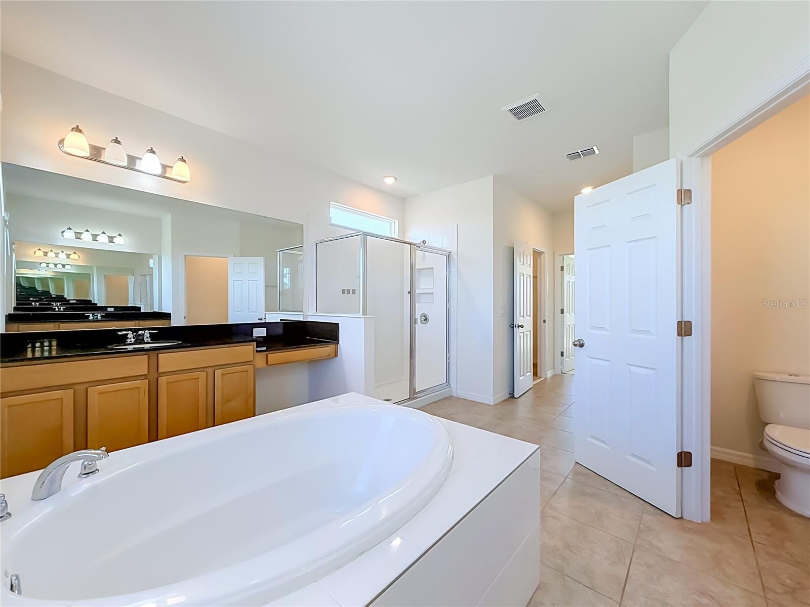 10079 AUSTRINA OAK LOOP, Winter Garden, FL 34787