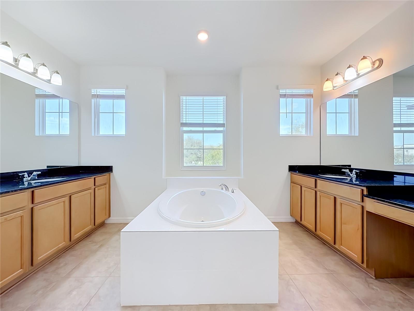 10079 AUSTRINA OAK LOOP, Winter Garden, FL 34787