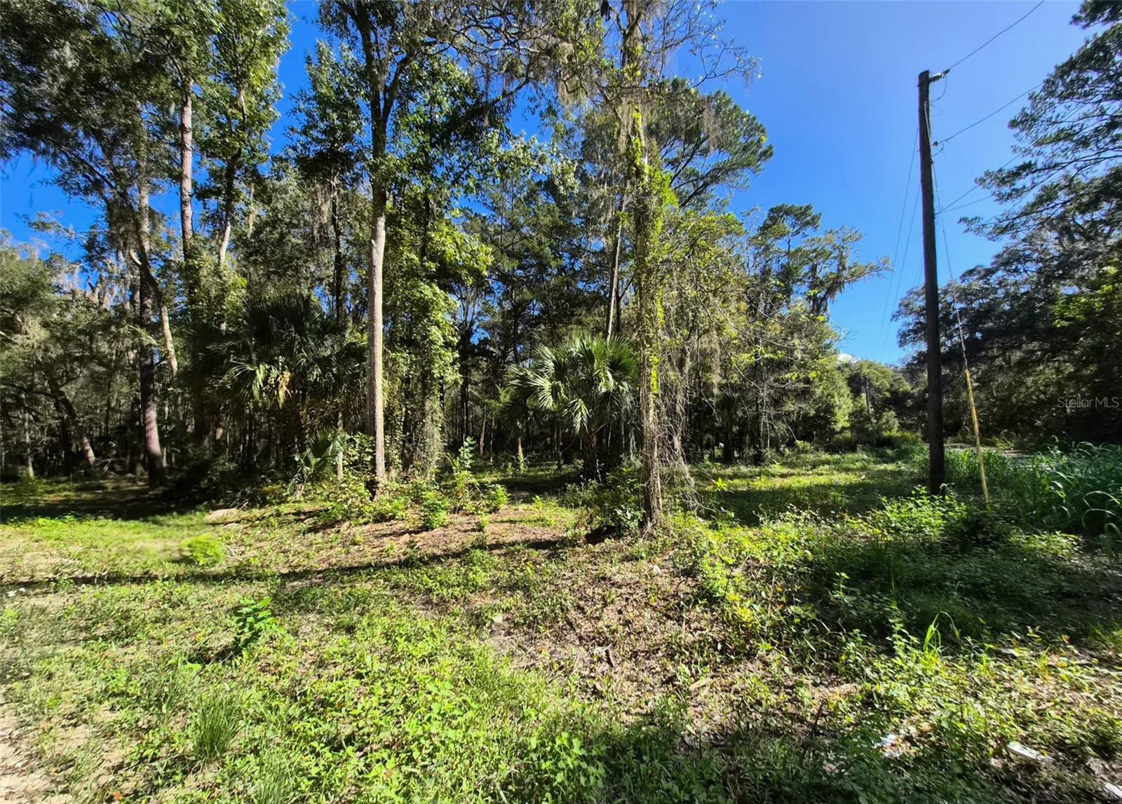 0 SW 16TH PLACE, Ocala, FL 34481