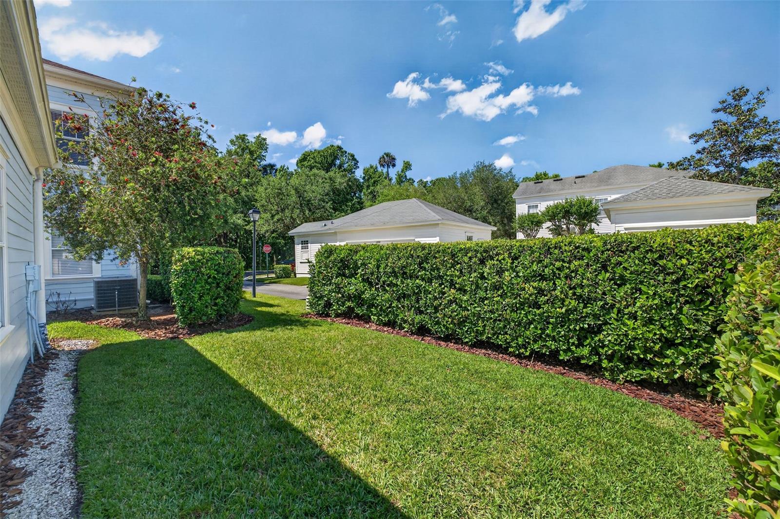 Spacious Backyard