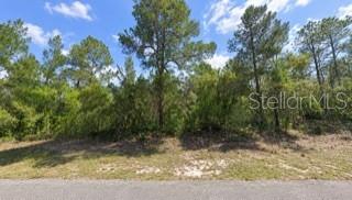 5148 W DEPUTY DRIVE, Beverly Hills, FL 34465 5148 W DEPUTY DRIVE, Beverly Hills, FL 34465