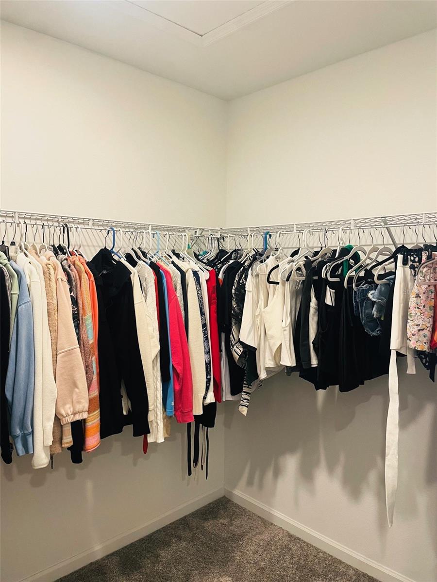 Primary bedroom Walk-in CLoset 8'10"x5'4"