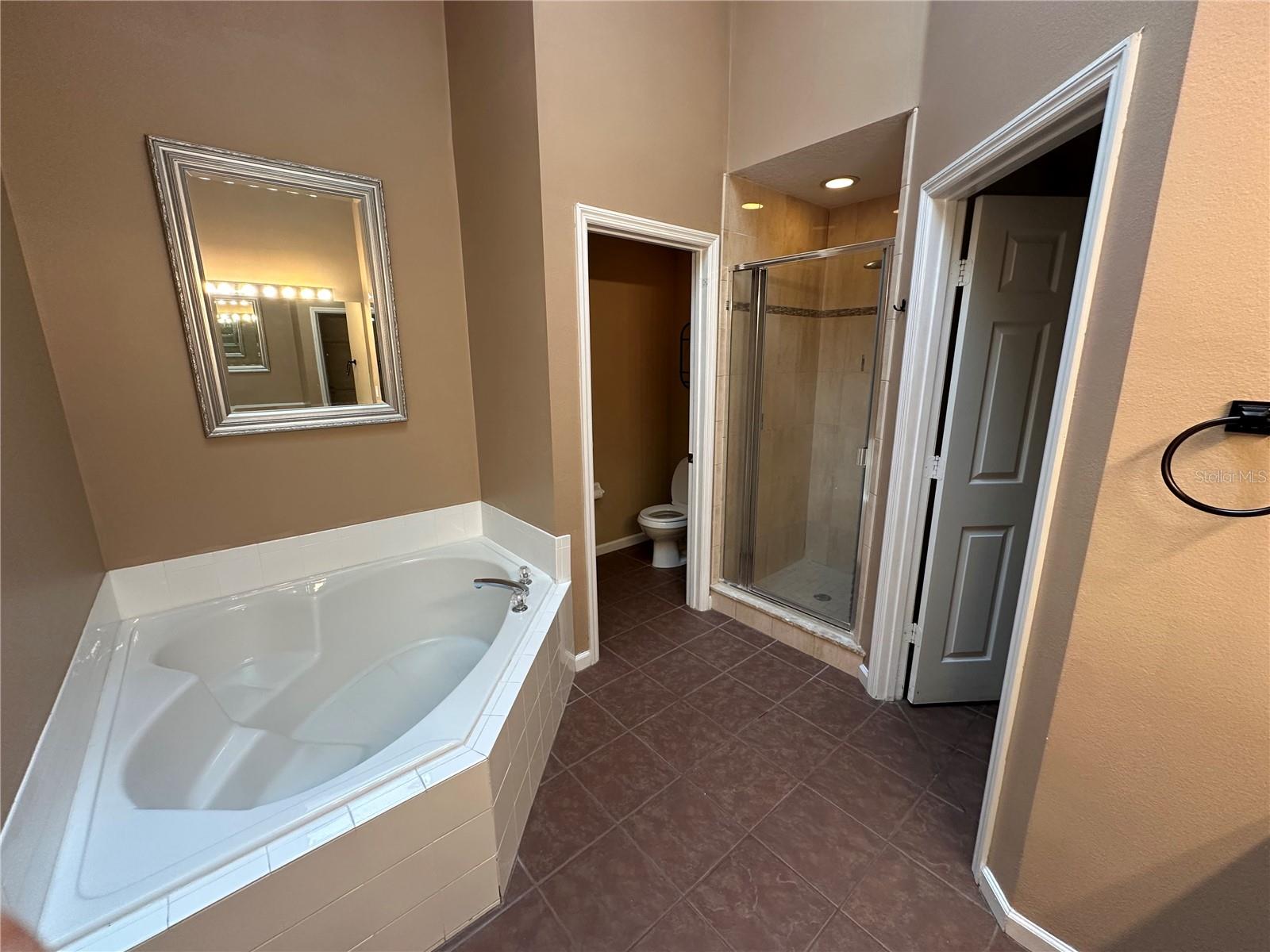 3227 HERONS POINT CIRCLE, Kissimmee, FL 34741