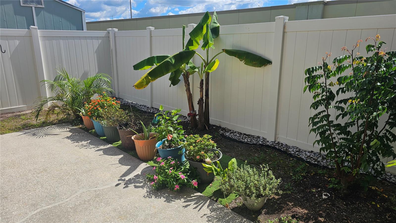 Backyard w/Fruit Trees & Vinyl Fenceard