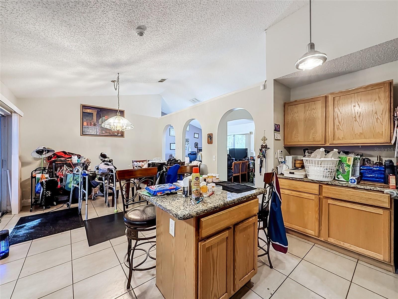 564 BRIMMING LAKE ROAD, Minneola, FL 34715