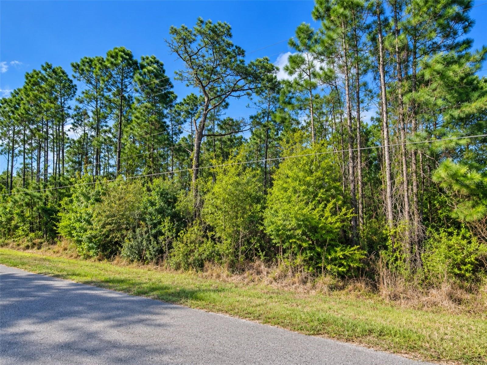 20607 NEWBY ST, Orlando, FL 32833 20607 NEWBY ST, Orlando, FL 32833