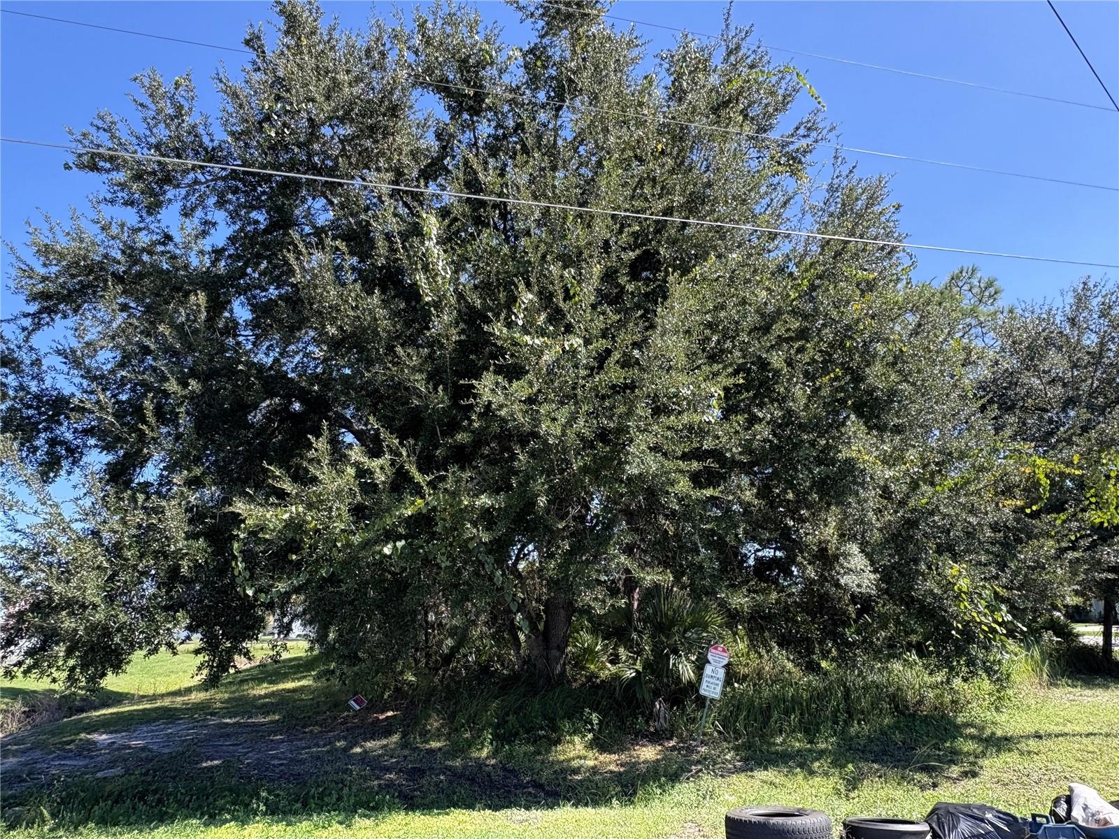 539 EAGLE COURT, #Lot 23, Poinciana, FL 34759