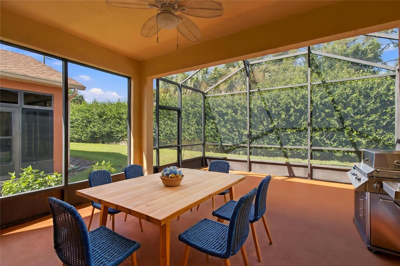 Virtually Staged Lanai