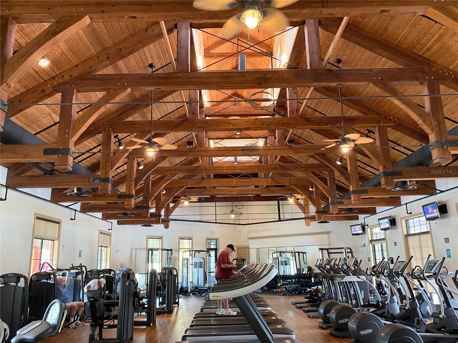 Palms physical fitness