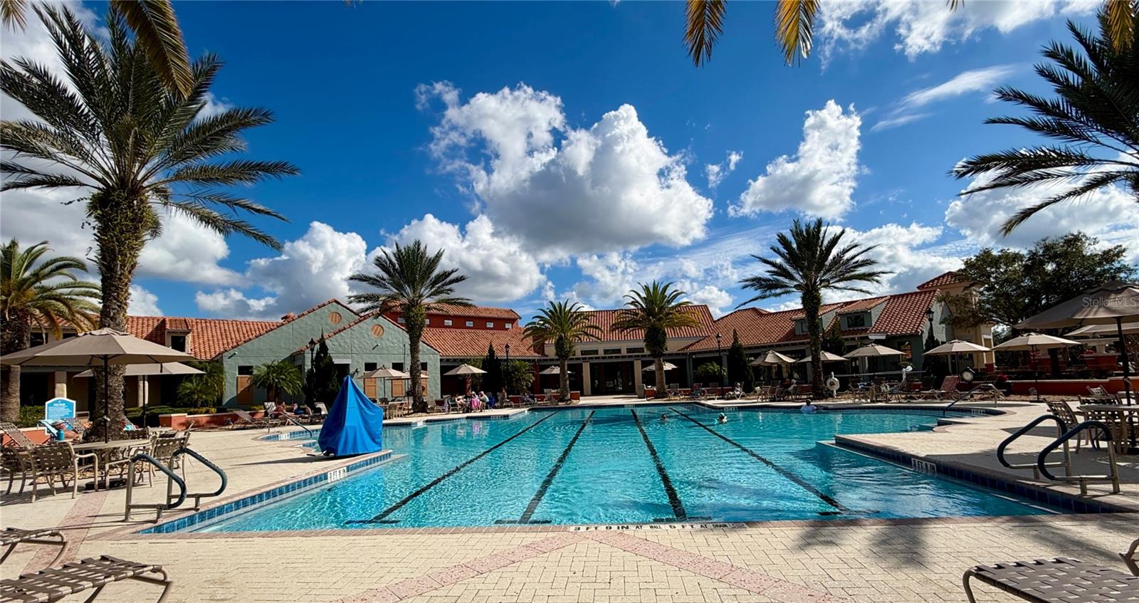 Palms outdoor pool
