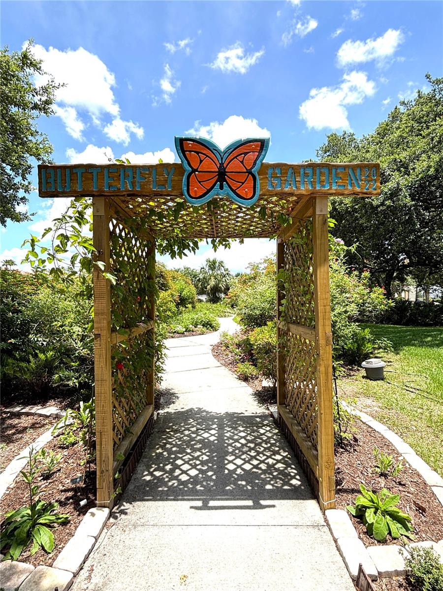 Butterfly garden
