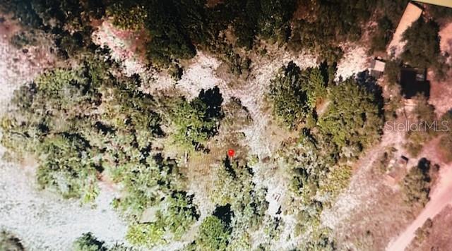 HOLOPAW GROVES ROAD, St Cloud, FL 34772