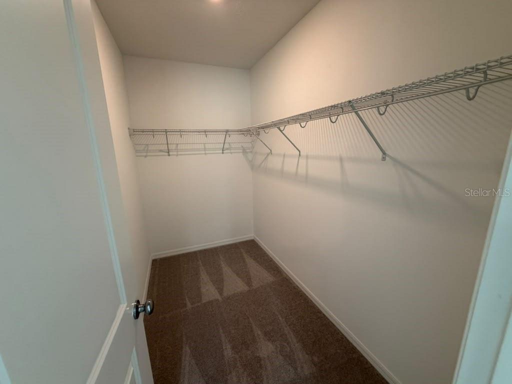 Walk in Closet
