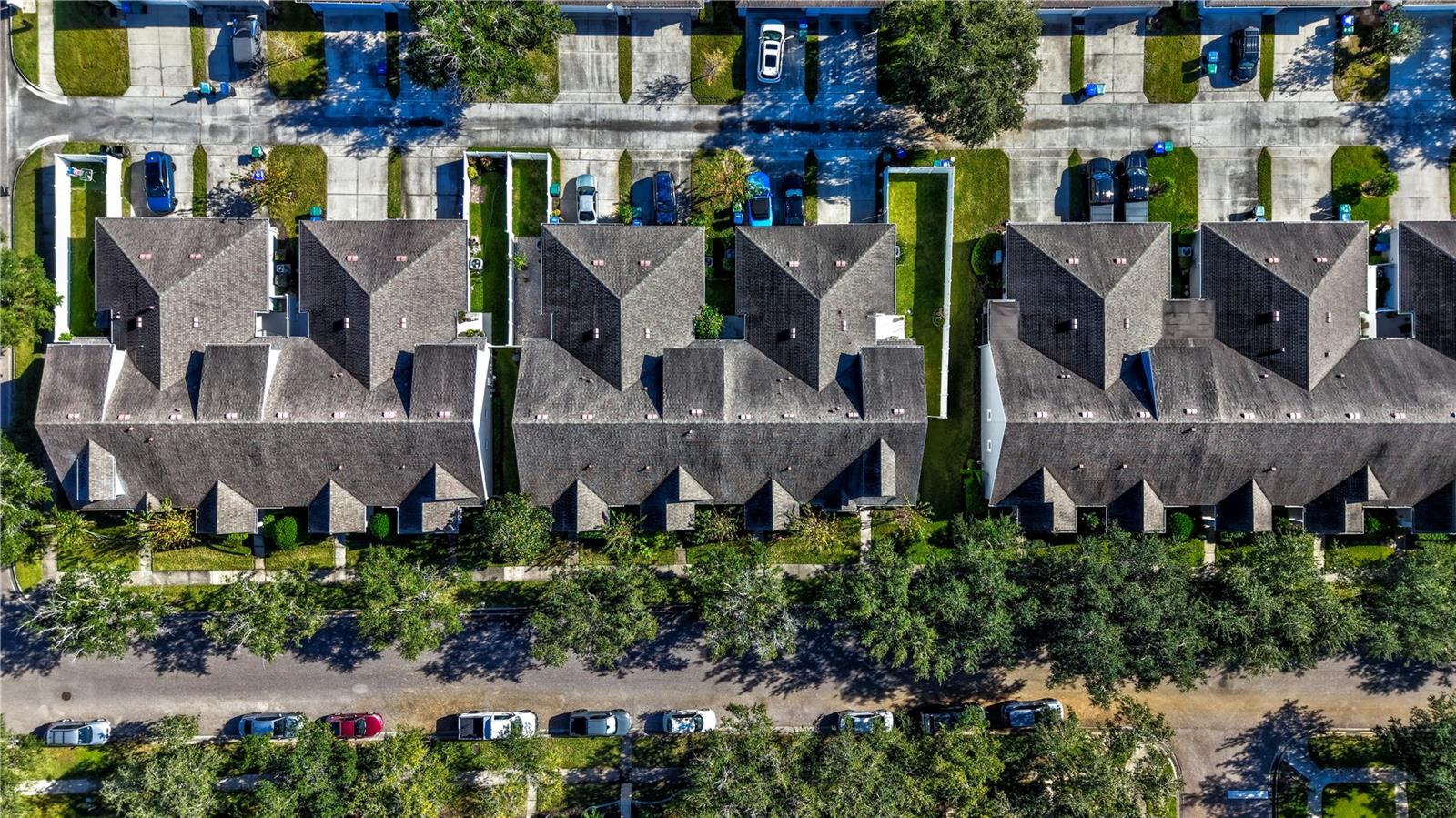 2161 FLORIDA SOAPBERRY BOULEVARD, Orlando, FL 32828