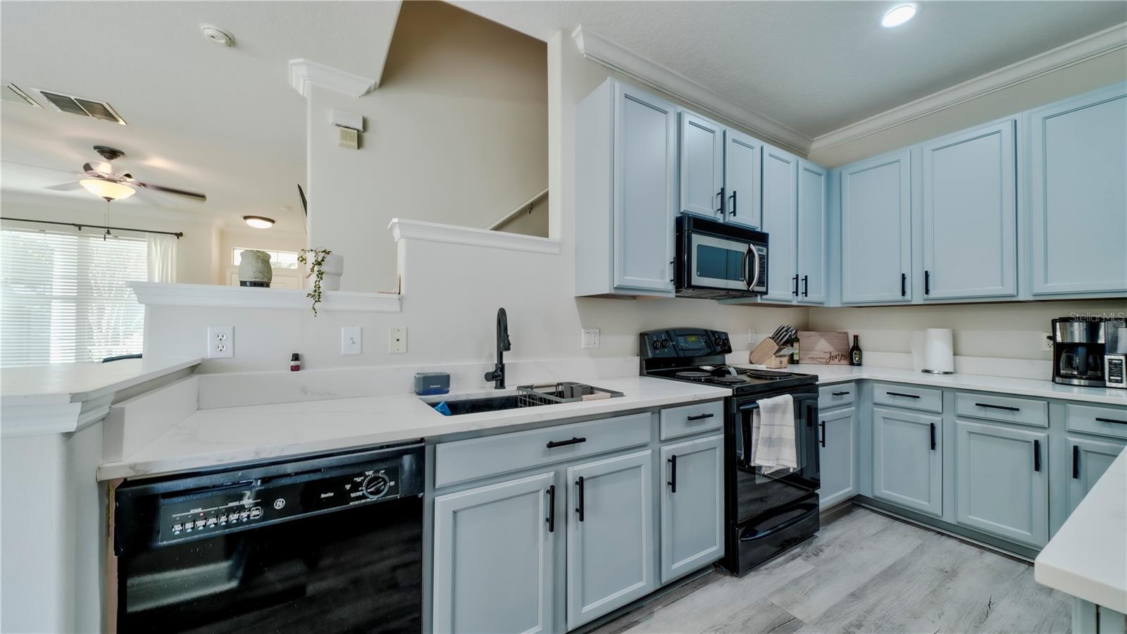2161 FLORIDA SOAPBERRY BOULEVARD, Orlando, FL 32828