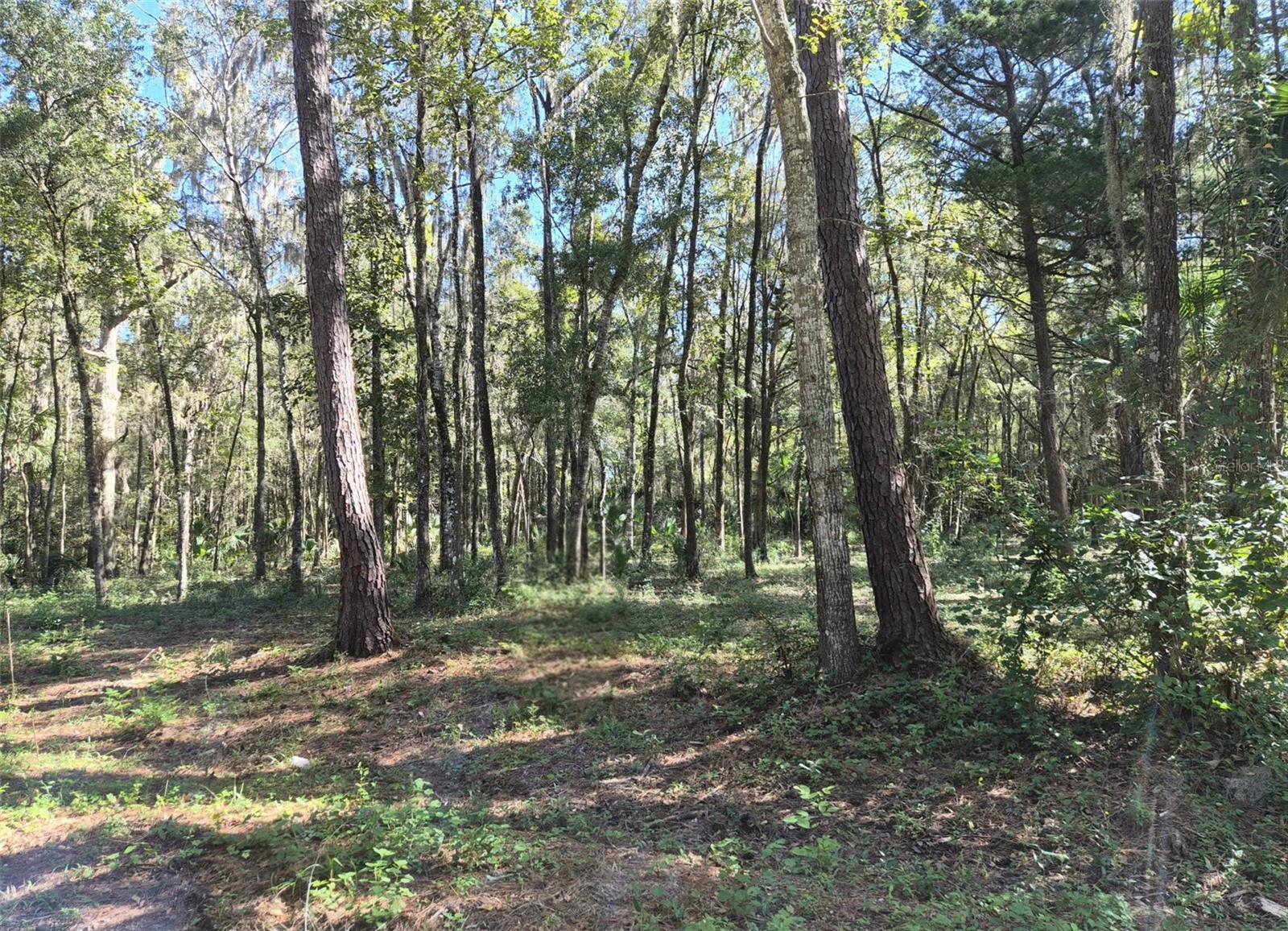 0 SW 16TH PLACE, Ocala, FL 34481