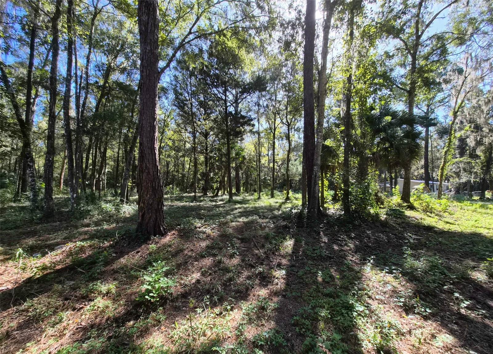 0 SW 16TH PLACE, Ocala, FL 34481