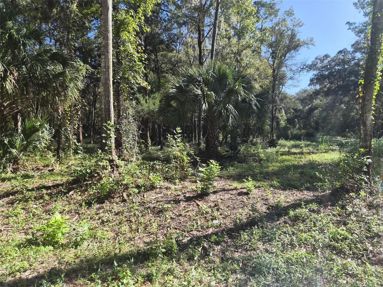 0 SW 16TH PLACE, Ocala, FL 34481