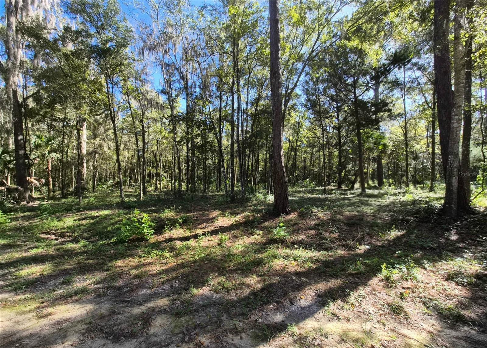 0 SW 16TH PLACE, Ocala, FL 34481