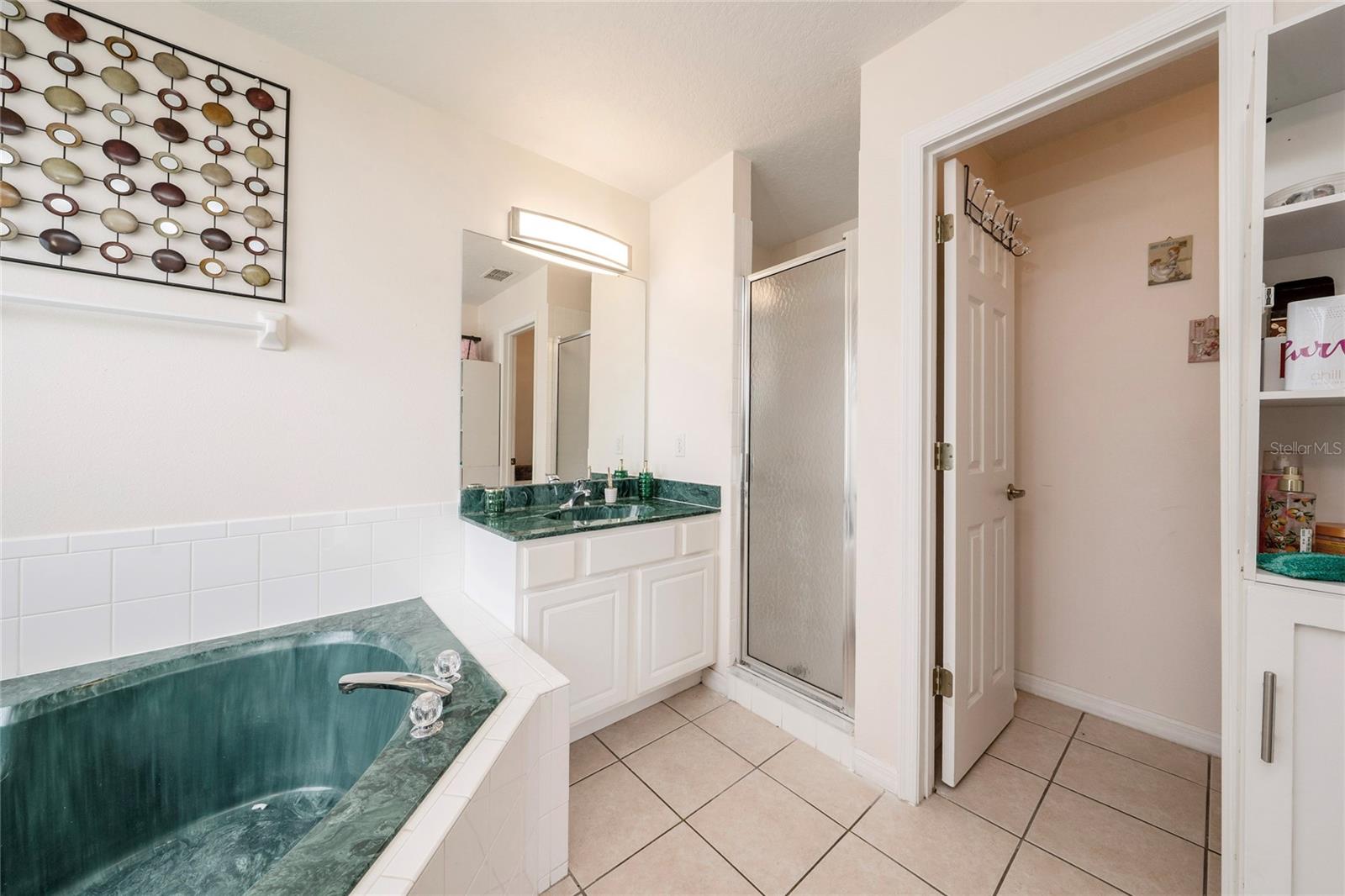 1133 CHICHESTER COURT, Kissimmee, FL 34758