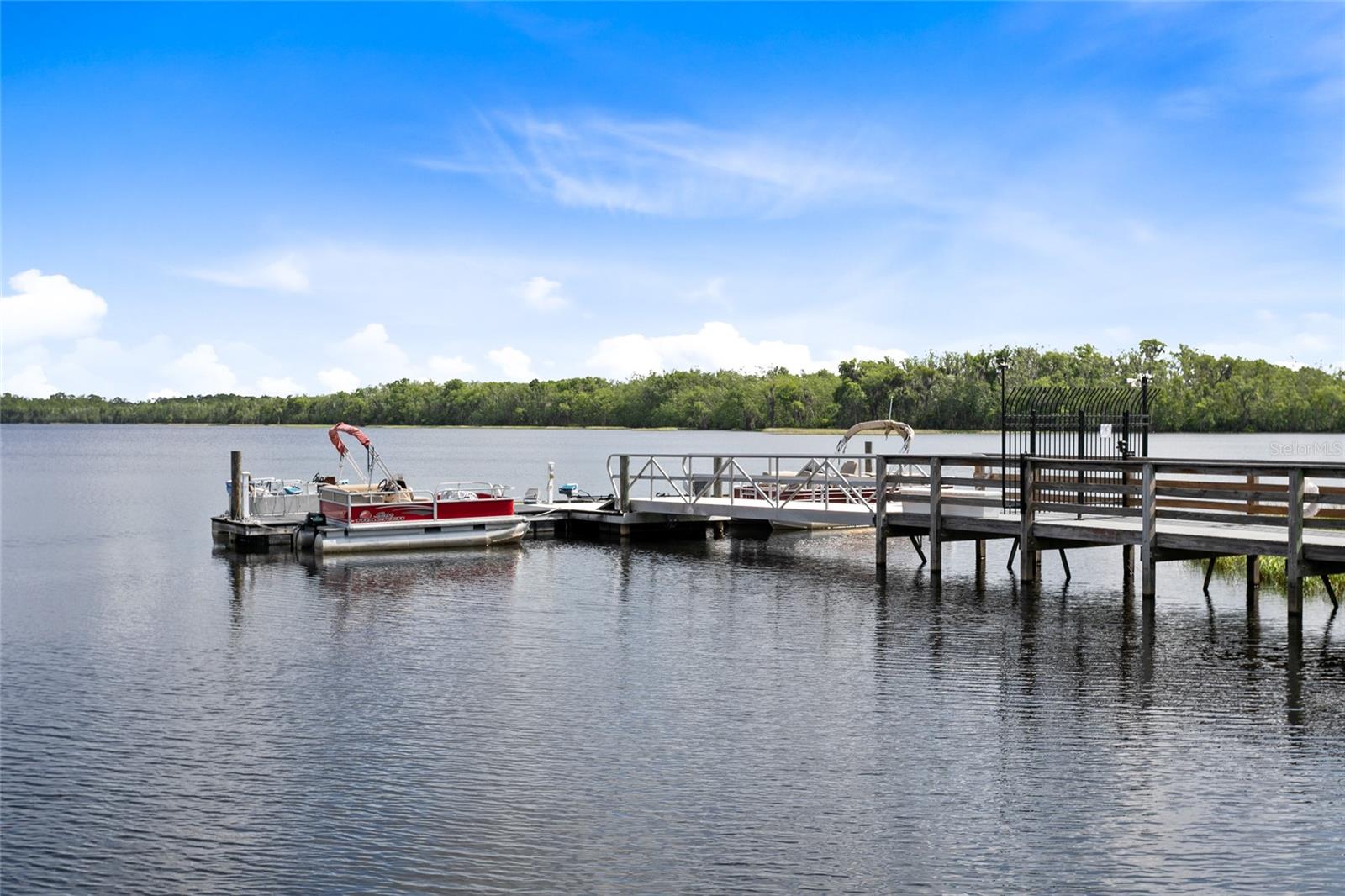 3214 BAYFLOWER AVE, Harmony, FL 34773