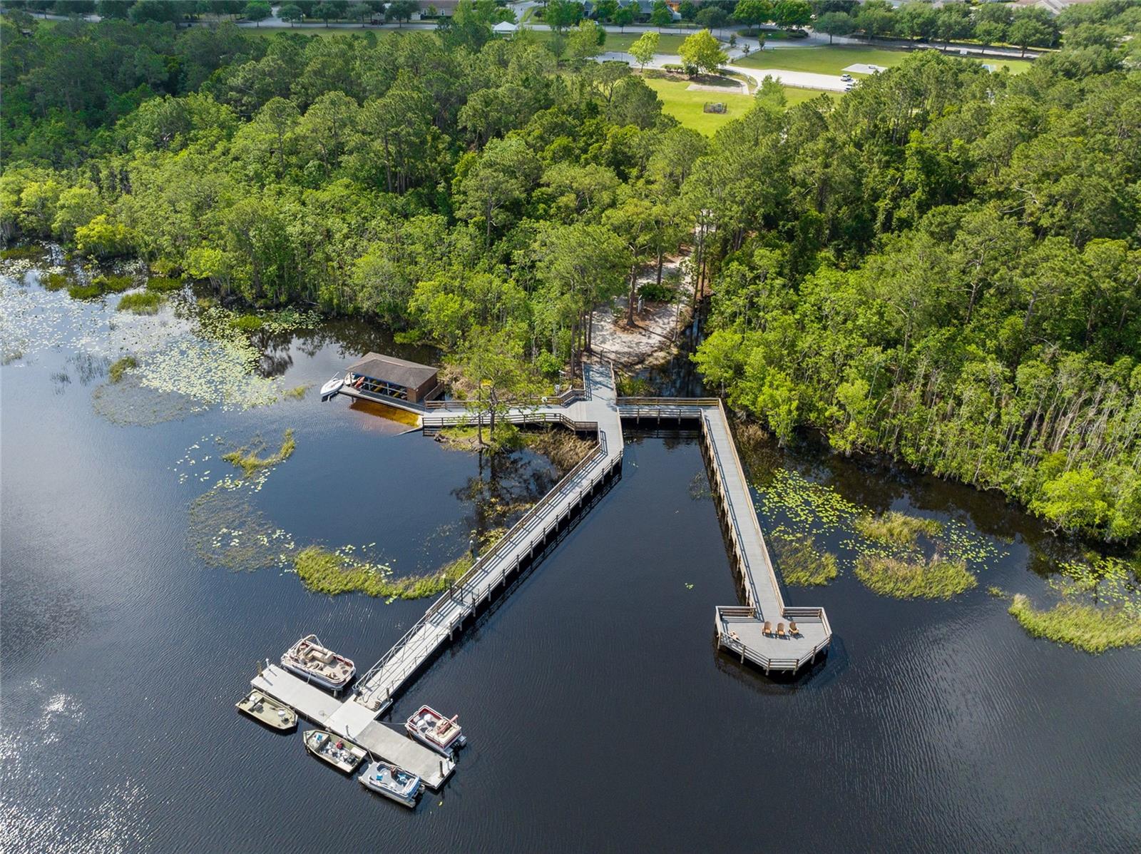 3214 BAYFLOWER AVE, Harmony, FL 34773