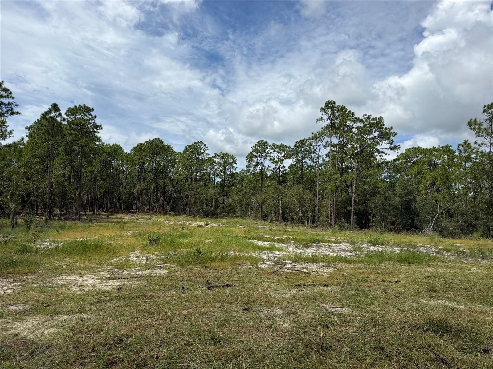 0000 SE 139TH COURT, Dunnellon, FL 34431 0000 SE 139TH COURT, Dunnellon, FL 34431