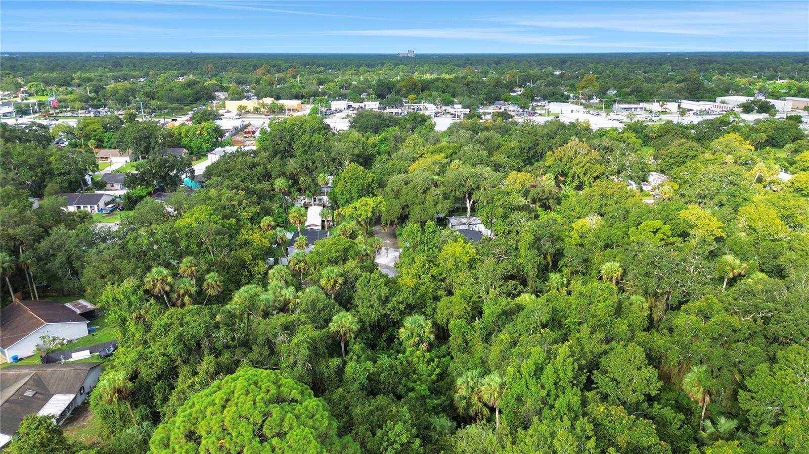 711 TENNESSEE TERRACE, Ormond Beach, FL 32174