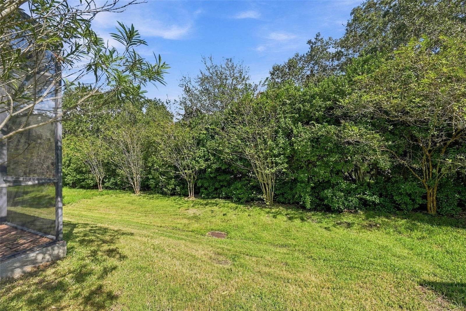 Backyard