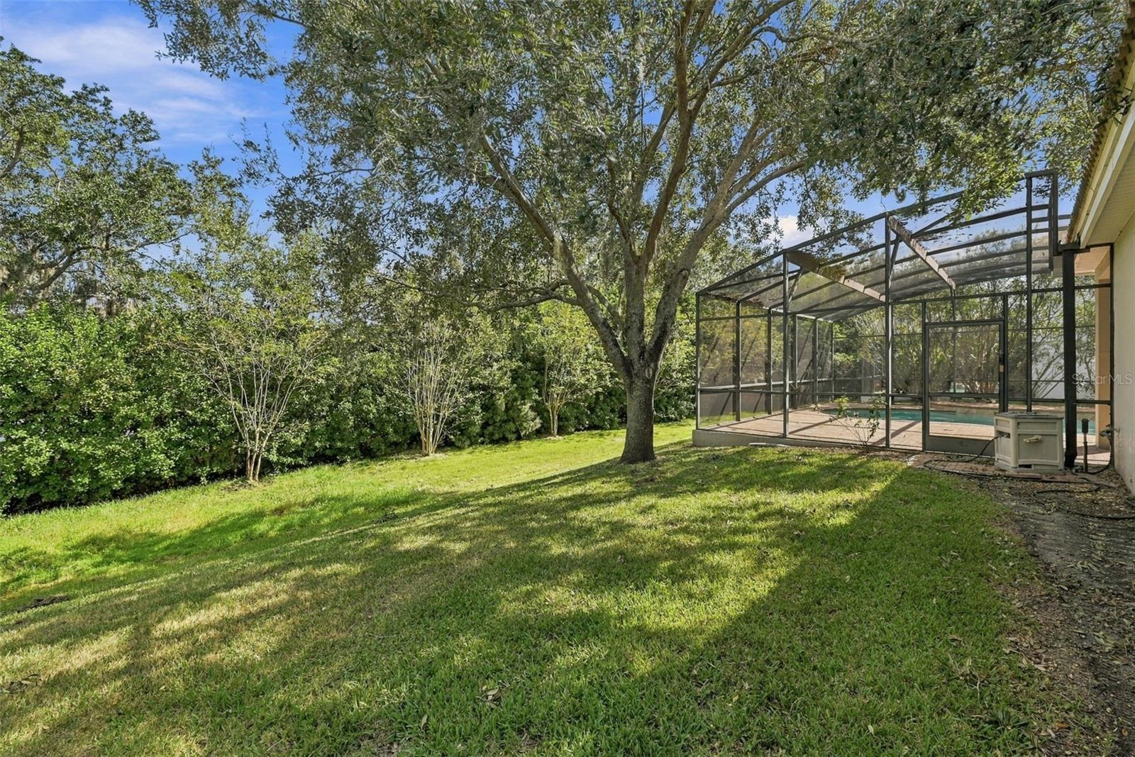 Backyard