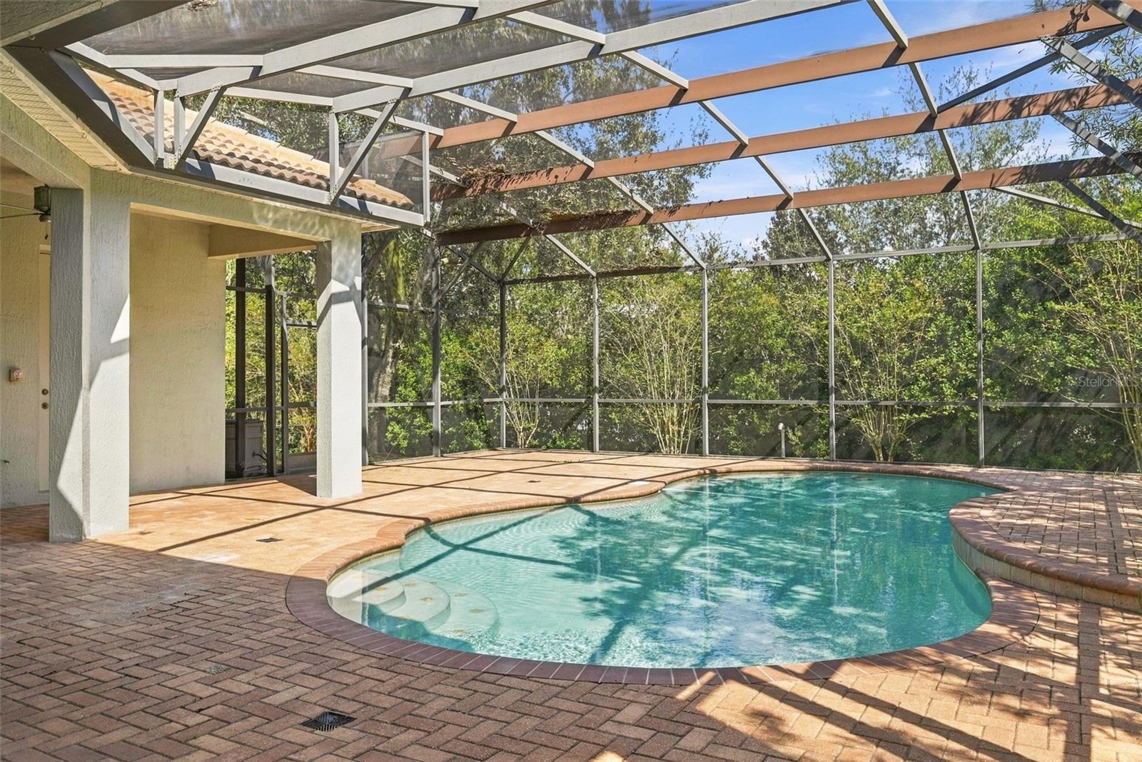 Pool / Lanai
