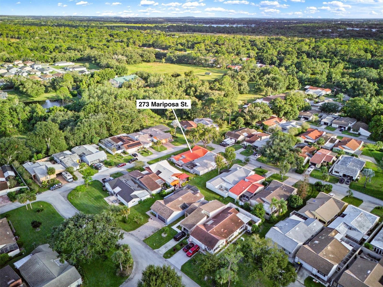 Aerial of the home and community