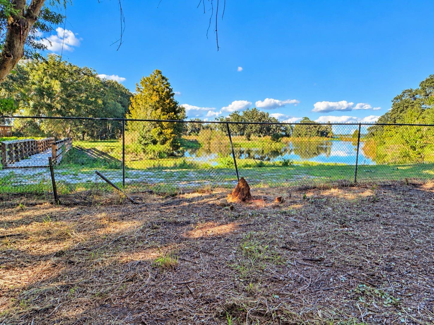View from the back of the property