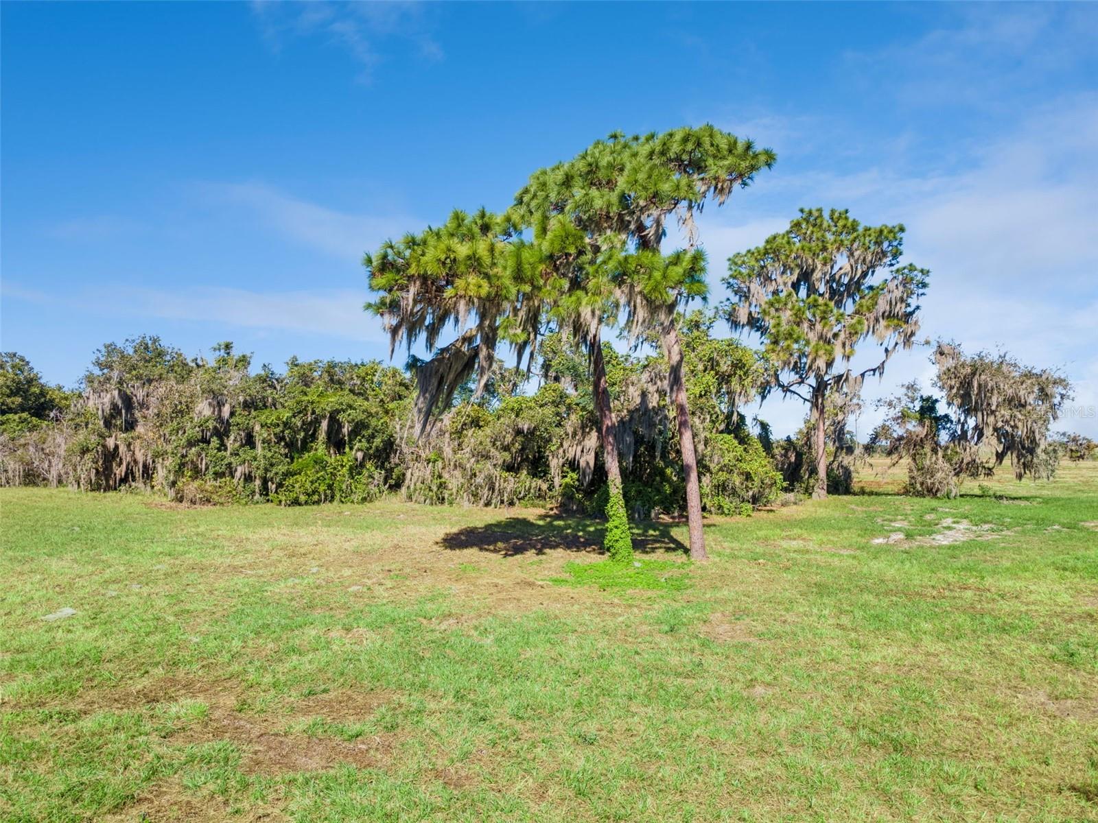 742 N LAKE REEDY BOULEVARD, Frostproof, FL 33843