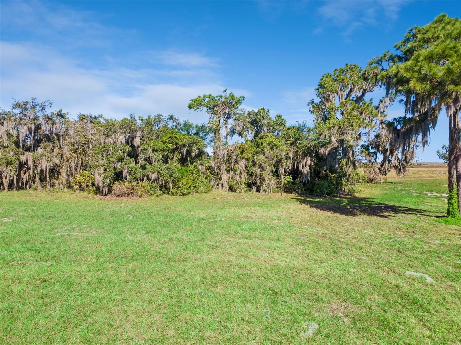 742 N LAKE REEDY BOULEVARD, Frostproof, FL 33843