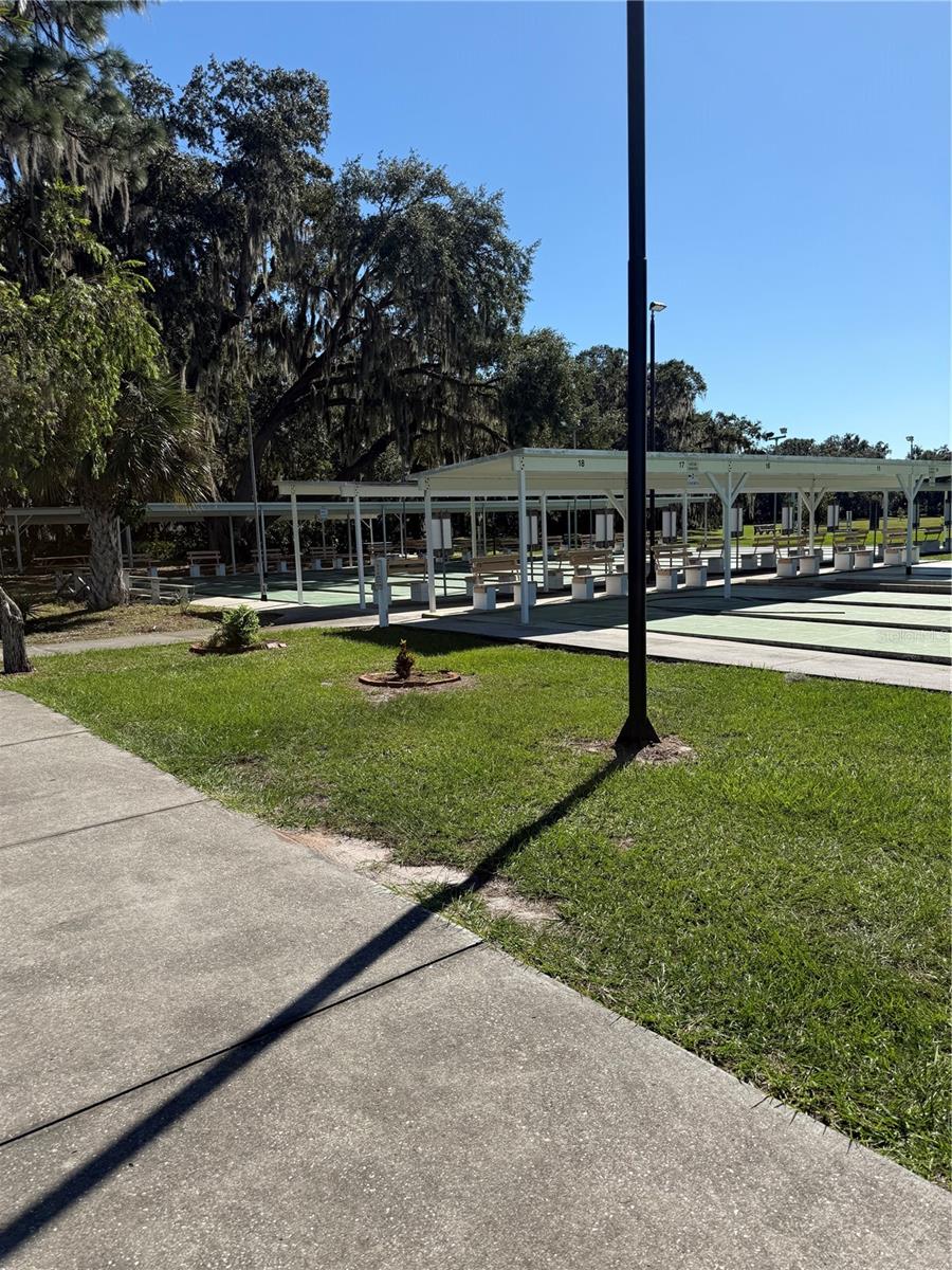 Shuffleboard Court