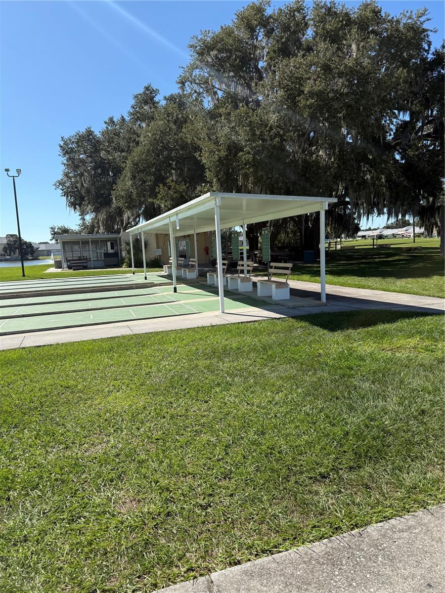 Shuffleboard