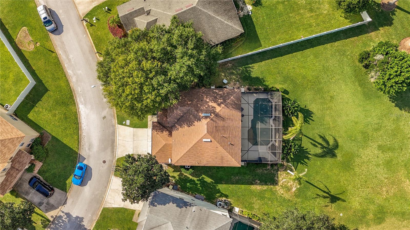 Oversized LOT!!