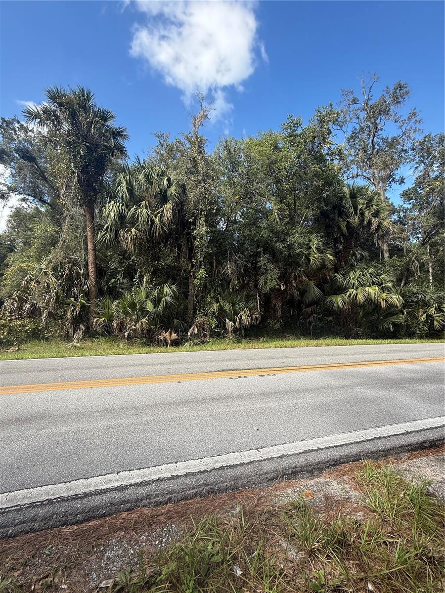 OLD KISSIMMEE ROAD, Davenport, FL 33896