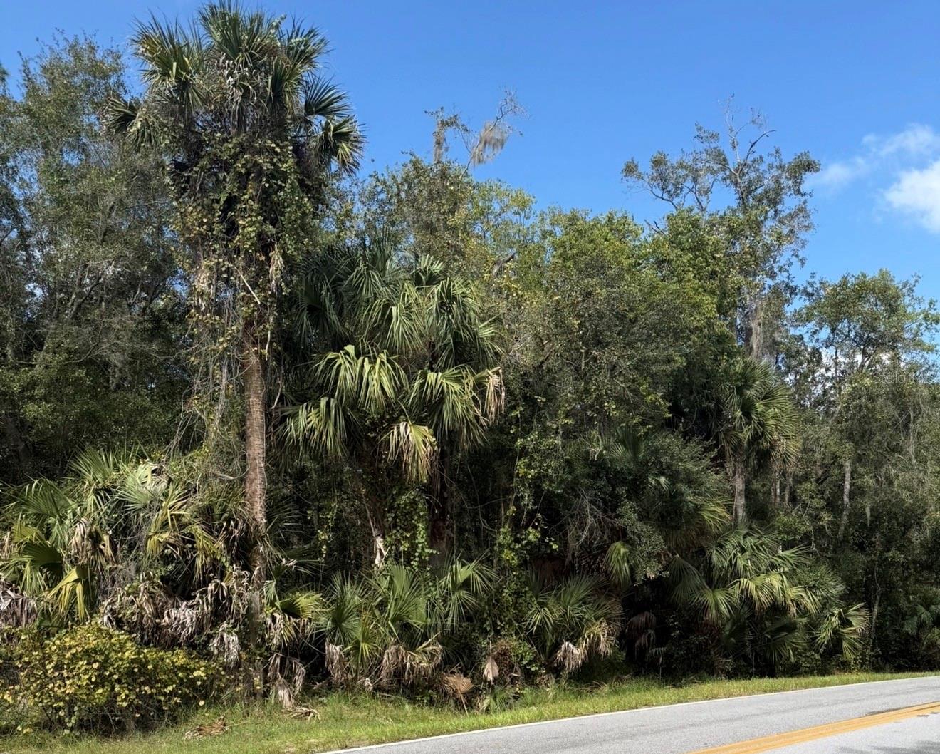 OLD KISSIMMEE ROAD, Davenport, FL 33896