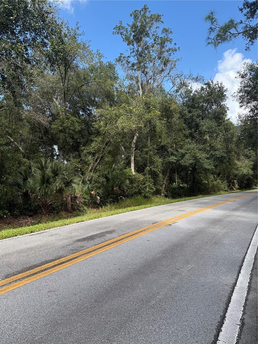 OLD KISSIMMEE ROAD, Davenport, FL 33896