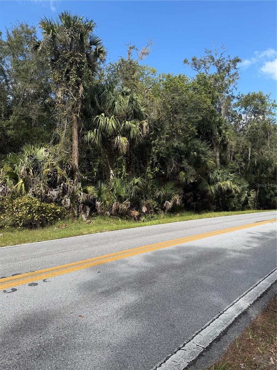 OLD KISSIMMEE ROAD, Davenport, FL 33896