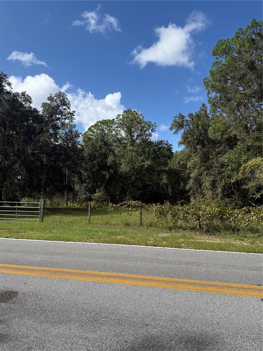 OLD KISSIMMEE ROAD, Davenport, FL 33896