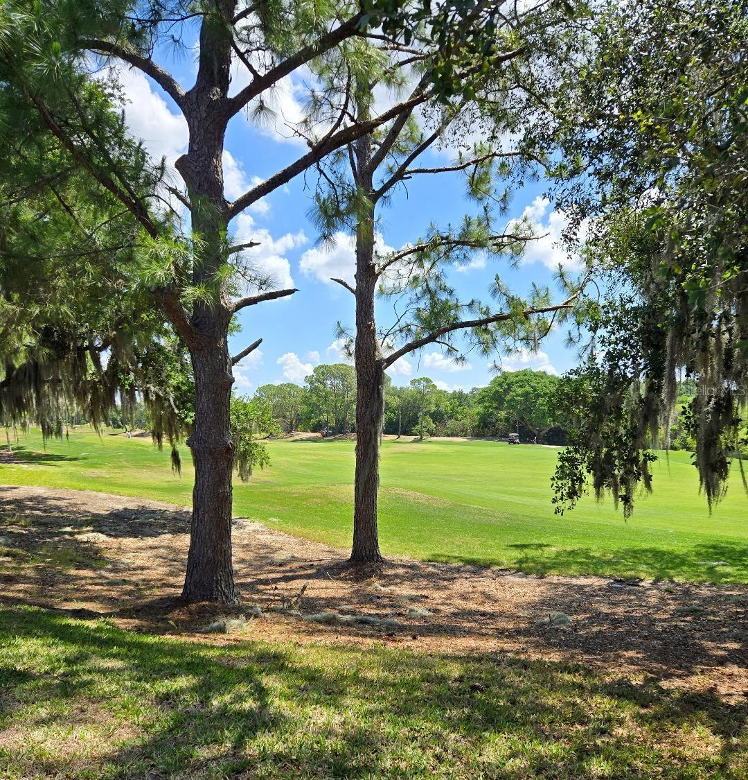 1650 DUNES COURT, Haines City, FL 33844