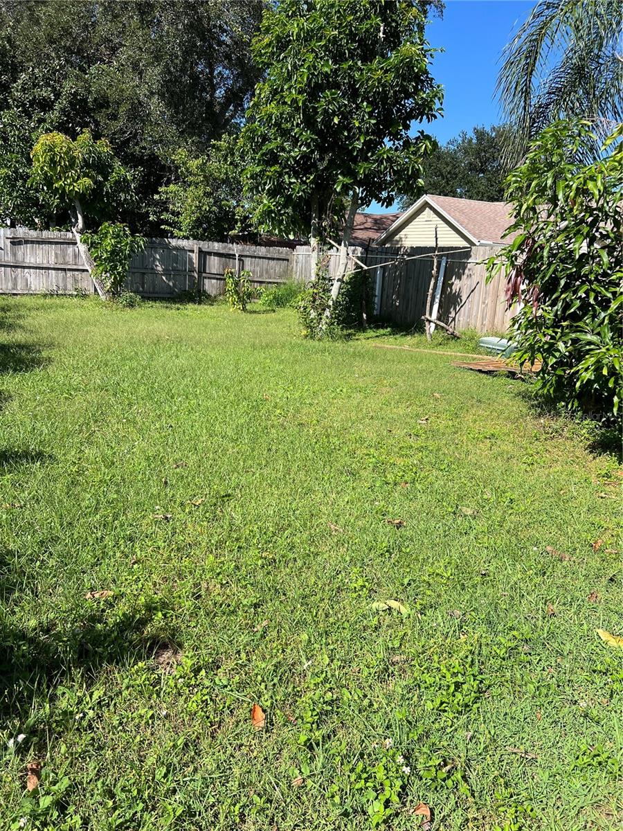 Backyard