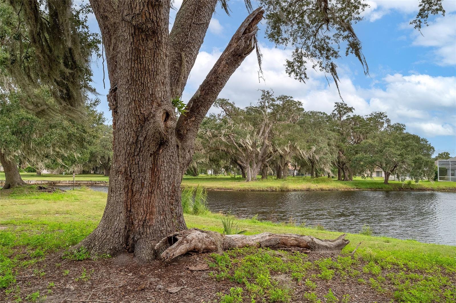 1917 WILLOW WOOD DRIVE, Kissimmee, FL 34746 1917 WILLOW WOOD DRIVE, Kissimmee, FL 34746