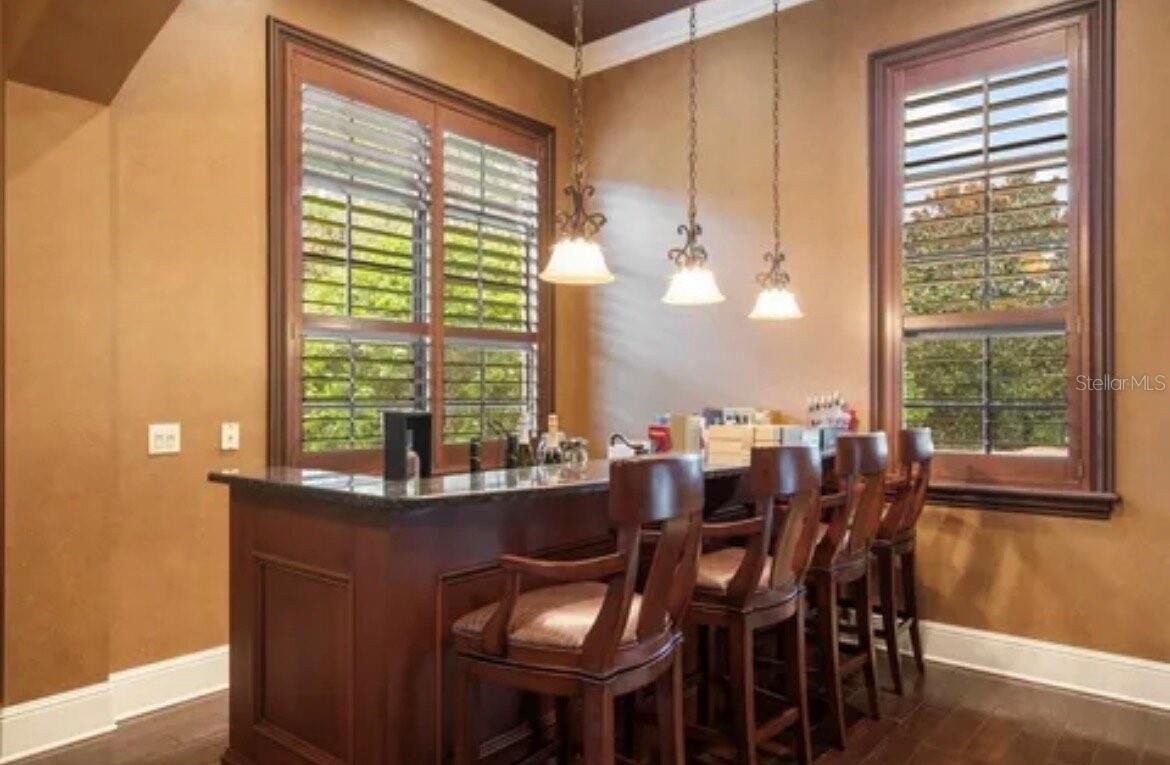 11066 ULLSWATER LANE, Windermere, FL 34786